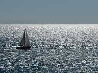 Ferry sailboat in sun NEF DWM9219